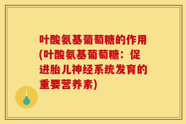 叶酸氨基葡萄糖的作用(叶酸氨基葡萄糖：促进胎儿系统发育的重要营养素)