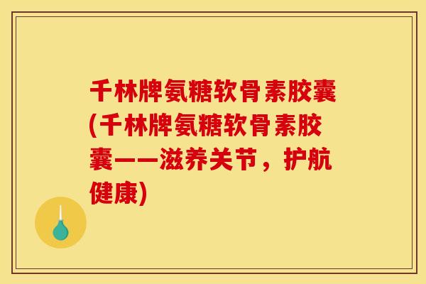 千林牌氨糖软骨素胶囊(千林牌氨糖软骨素胶囊——滋养关节,护航健康) 千林牌氨糖软骨素胶囊(千林牌氨糖软骨素胶囊——滋养关节,护航健康)