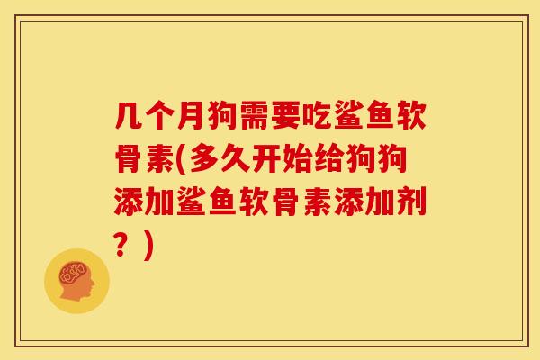 几个月狗需要吃鲨鱼软骨素(多久开始给狗狗添加鲨鱼软骨素添加剂?) 几个月狗需要吃鲨鱼软骨素(多久开始给狗狗添加鲨鱼软骨素添加剂?)