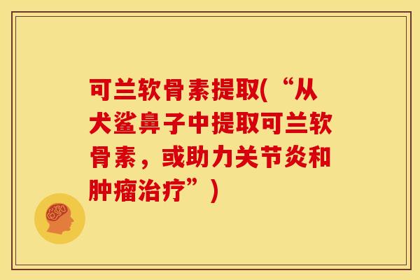 可兰软骨素提取(“从犬鲨鼻子中提取可兰软骨素，或助力和”)