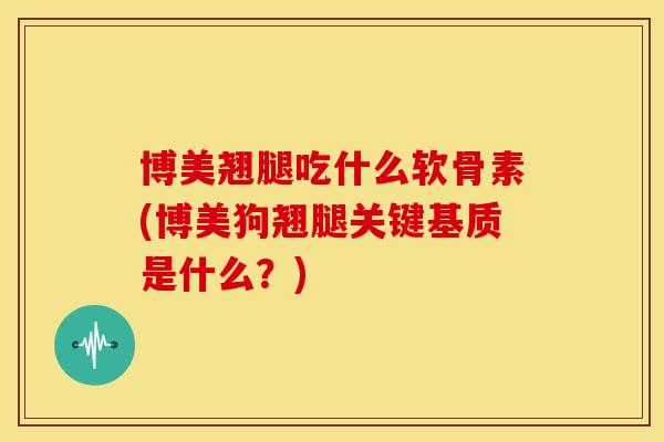 博美翘腿吃什么软骨素(博美狗翘腿关键基质是什么？)