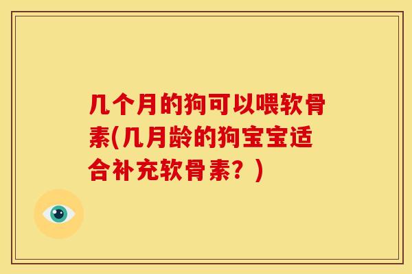几个月的狗可以喂软骨素(几月龄的狗宝宝适合补充软骨素？)