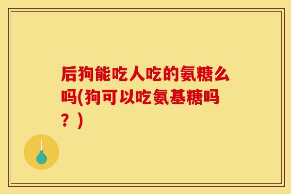 后狗能吃人吃的氨糖么吗(狗可以吃氨基糖吗?) 后狗能吃人吃的氨糖么吗(狗可以吃氨基糖吗?)
