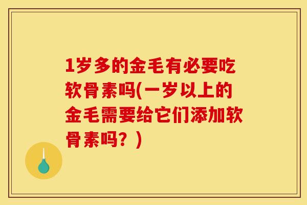 1岁多的金毛有必要吃软骨素吗(一岁以上的金毛需要给它们添加软骨素吗？)