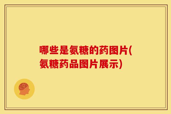 哪些是氨糖的药图片(氨糖药品图片展示)