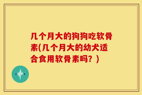 几个月大的狗狗吃软骨素(几个月大的幼犬适合食用软骨素吗?) 几个月大的狗狗吃软骨素(几个月大的幼犬适合食用软骨素吗?)