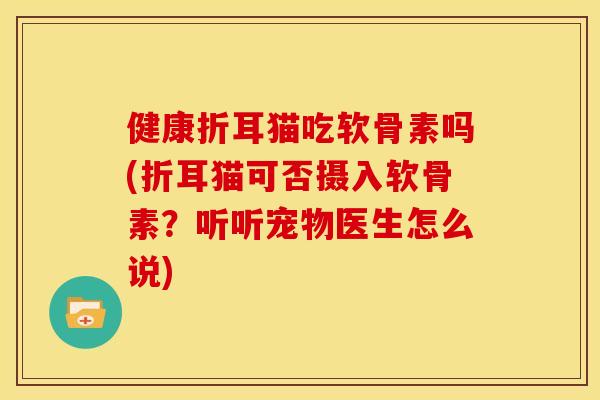 健康折耳猫吃软骨素吗(折耳猫可否摄入软骨素？听听宠物医生怎么说)
