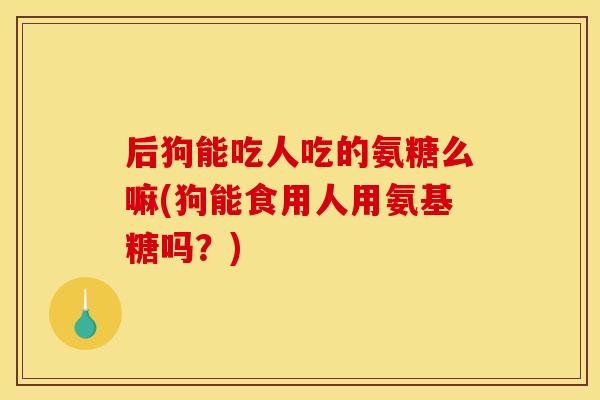 后狗能吃人吃的氨糖么嘛(狗能食用人用氨基糖吗?) 后狗能吃人吃的氨糖么嘛(狗能食用人用氨基糖吗?)