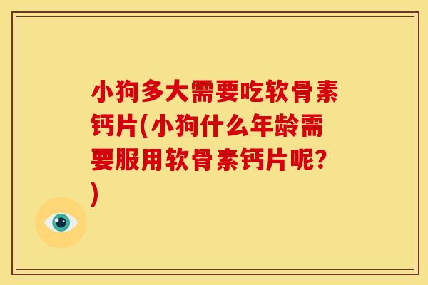 小狗多大需要吃软骨素钙片(小狗什么年龄需要服用软骨素钙片呢？)