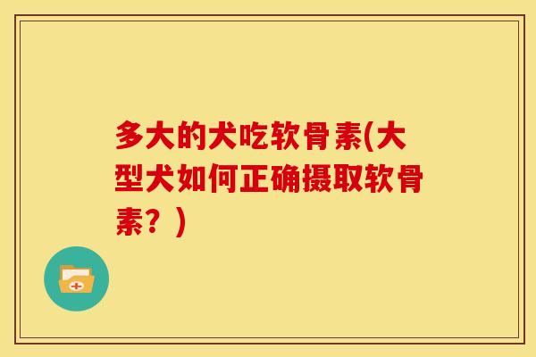 多大的犬吃软骨素(大型犬如何正确摄取软骨素?) 多大的犬吃软骨素(大型犬如何正确摄取软骨素?)