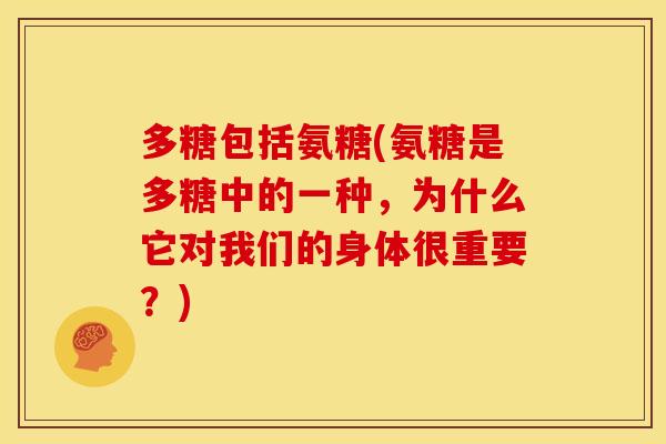多糖包括氨糖(氨糖是多糖中的一种，为什么它对我们的身体很重要？)