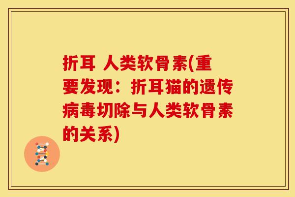 折耳 人类软骨素(重要发现：折耳猫的遗传切除与人类软骨素的关系)