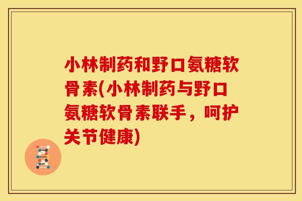 小林制药和野口氨糖软骨素(小林制药与野口氨糖软骨素联手,呵护关节健康) 小林制药和野口氨糖软骨素(小林制药与野口氨糖软骨素联手,呵护关节健康)