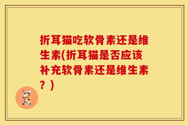 折耳猫吃软骨素还是维生素(折耳猫是否应该补充软骨素还是维生素?) 折耳猫吃软骨素还是维生素(折耳猫是否应该补充软骨素还是维生素?)