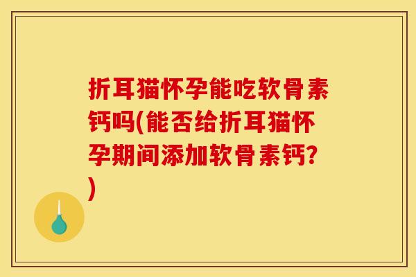 折耳猫怀孕能吃软骨素钙吗(能否给折耳猫怀孕期间添加软骨素钙?) 折耳猫怀孕能吃软骨素钙吗(能否给折耳猫怀孕期间添加软骨素钙?)