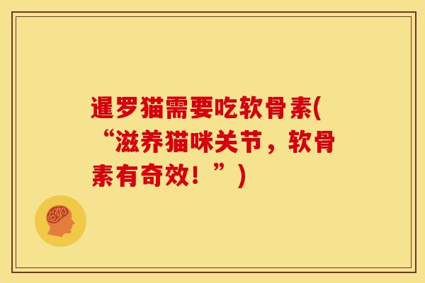 暹罗猫需要吃软骨素(“滋养猫咪关节,软骨素有奇效!”) 暹罗猫需要吃软骨素(“滋养猫咪关节,软骨素有奇效!”)