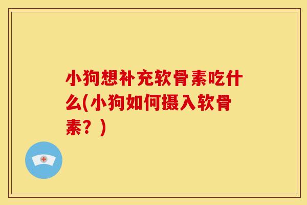小狗想补充软骨素吃什么(小狗如何摄入软骨素?) 小狗想补充软骨素吃什么(小狗如何摄入软骨素?)
