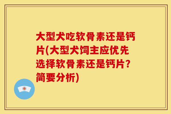 大型犬吃软骨素还是钙片(大型犬饲主应优先选择软骨素还是钙片?简要分析) 大型犬吃软骨素还是钙片(大型犬饲主应优先选择软骨素还是钙片?简要分析)