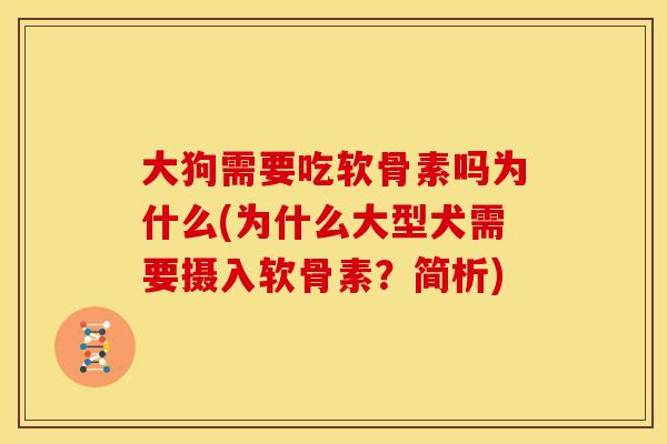 大狗需要吃软骨素吗为什么(为什么大型犬需要摄入软骨素?简析) 大狗需要吃软骨素吗为什么(为什么大型犬需要摄入软骨素?简析)