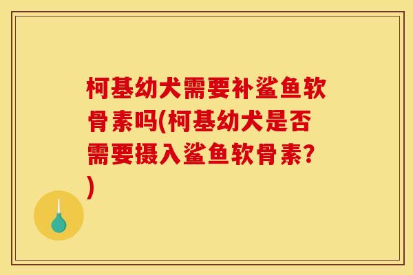 柯基幼犬需要补鲨鱼软骨素吗(柯基幼犬是否需要摄入鲨鱼软骨素?) 柯基幼犬需要补鲨鱼软骨素吗(柯基幼犬是否需要摄入鲨鱼软骨素?)