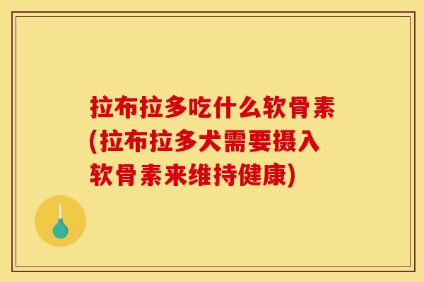 拉布拉多吃什么软骨素(拉布拉多犬需要摄入软骨素来维持健康) 拉布拉多吃什么软骨素(拉布拉多犬需要摄入软骨素来维持健康)
