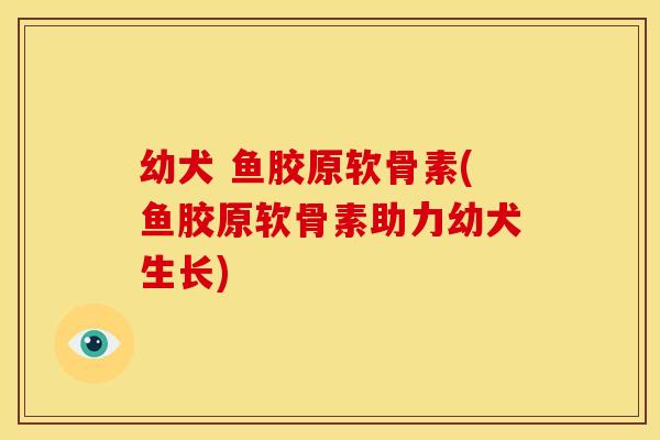 幼犬 鱼胶原软骨素(鱼胶原软骨素助力幼犬生长) 幼犬 鱼胶原软骨素(鱼胶原软骨素助力幼犬生长)