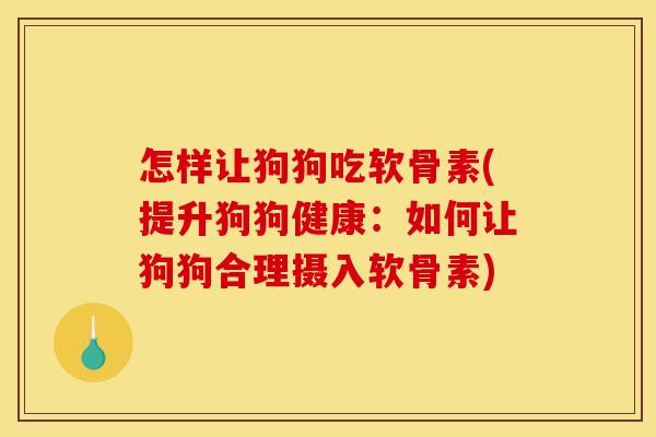 怎样让狗狗吃软骨素(提升狗狗健康：如何让狗狗合理摄入软骨素)