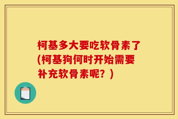 柯基多大要吃软骨素了(柯基狗何时开始需要补充软骨素呢？)
