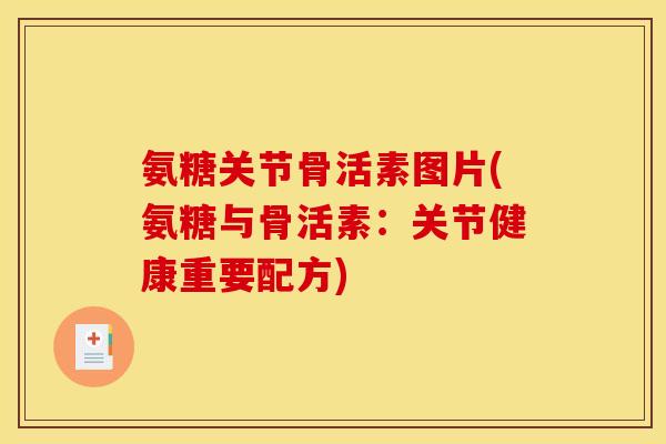 氨糖关节骨活素图片(氨糖与骨活素：关节健康重要配方)