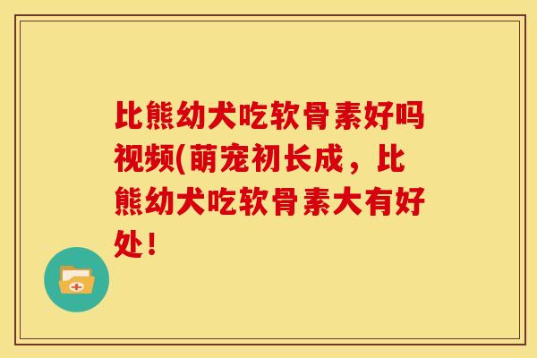 比熊幼犬吃软骨素好吗视频(萌宠初长成，比熊幼犬吃软骨素大有好处！