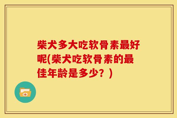柴犬多大吃软骨素好呢(柴犬吃软骨素的佳年龄是多少?) 柴犬多大吃软骨素好呢(柴犬吃软骨素的佳年龄是多少?)