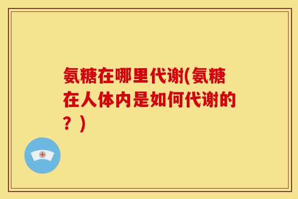 氨糖在哪里代谢(氨糖在人体内是如何代谢的？)