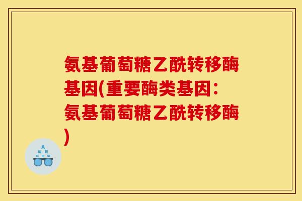 氨基葡萄糖乙酰转移酶基因(重要酶类基因：氨基葡萄糖乙酰转移酶)