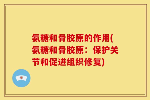氨糖和骨胶原的作用(氨糖和骨胶原:保护关节和促进组织修复) 氨糖和骨胶原的作用(氨糖和骨胶原:保护关节和促进组织修复)
