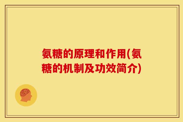 氨糖的原理和作用(氨糖的机制及功效简介)