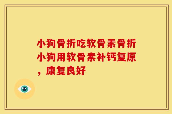 小狗吃软骨素小狗用软骨素补钙复原,康复良好 小狗吃软骨素小狗用软骨素补钙复原,康复良好
