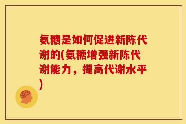氨糖是如何促进的(氨糖增强能力，提高代谢水平)