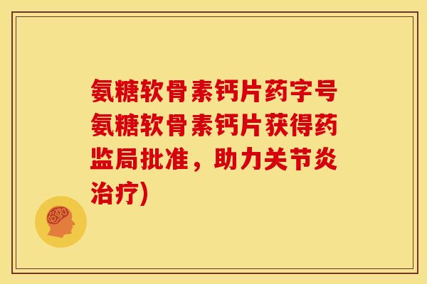 氨糖软骨素钙片药字号氨糖软骨素钙片获得药监局批准，助力)