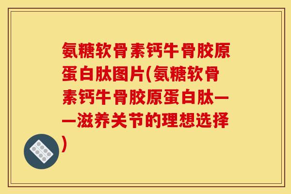 氨糖软骨素钙牛骨胶原蛋白肽图片(氨糖软骨素钙牛骨胶原蛋白肽——滋养关节的理想选择) 氨糖软骨素钙牛骨胶原蛋白肽图片(氨糖软骨素钙牛骨胶原蛋白肽——滋养关节的理想选择)