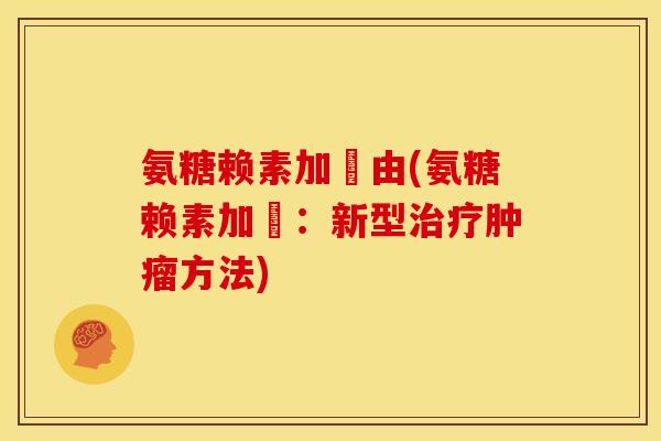 氨糖赖素加鎷由(氨糖赖素加鎷：新型方法)