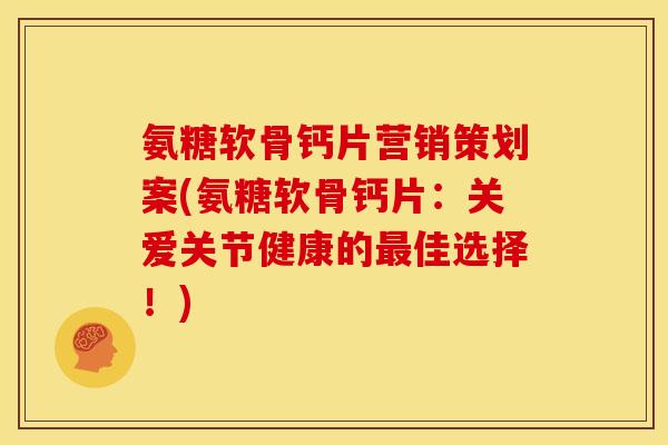 氨糖软骨钙片营销策划案(氨糖软骨钙片:关爱关节健康的佳选择!) 氨糖软骨钙片营销策划案(氨糖软骨钙片:关爱关节健康的佳选择!)