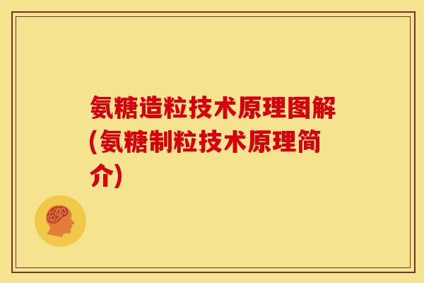 氨糖造粒技术原理图解(氨糖制粒技术原理简介) 氨糖造粒技术原理图解(氨糖制粒技术原理简介)