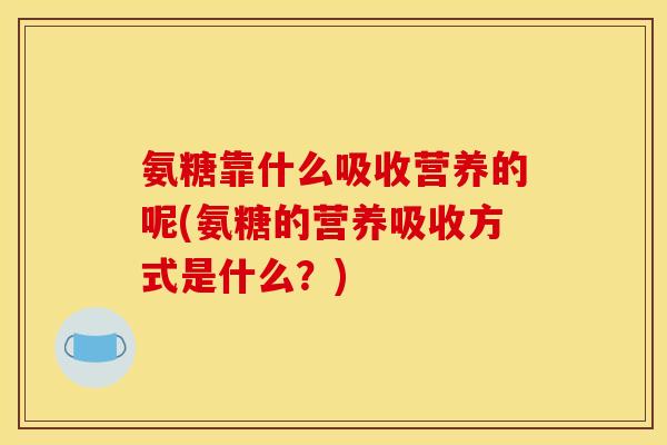 氨糖靠什么吸收营养的呢(氨糖的营养吸收方式是什么？)