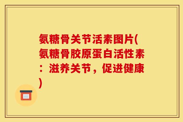 氨糖骨关节活素图片(氨糖骨胶原蛋白活性素:滋养关节,促进健康) 氨糖骨关节活素图片(氨糖骨胶原蛋白活性素:滋养关节,促进健康)