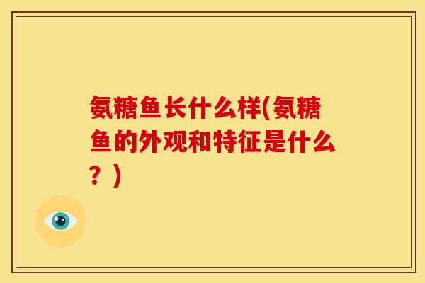 氨糖鱼长什么样(氨糖鱼的外观和特征是什么?) 氨糖鱼长什么样(氨糖鱼的外观和特征是什么?)