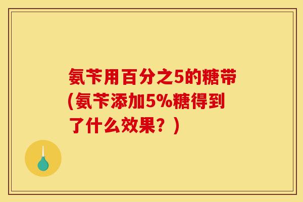 氨苄用百分之5的糖带(氨苄添加5%糖得到了什么效果?) 氨苄用百分之5的糖带(氨苄添加5%糖得到了什么效果?)