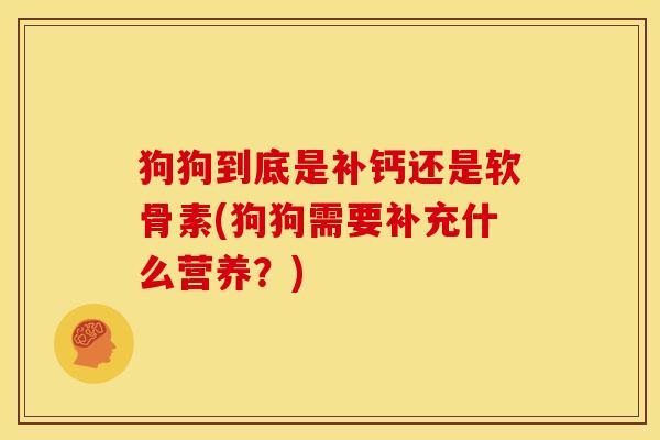 狗狗到底是补钙还是软骨素(狗狗需要补充什么营养？)