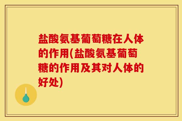 盐酸氨基葡萄糖在人体的作用(盐酸氨基葡萄糖的作用及其对人体的好处)
