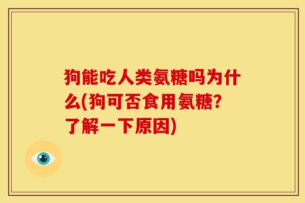 狗能吃人类氨糖吗为什么(狗可否食用氨糖？了解一下原因)