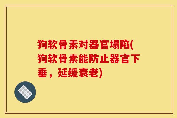 狗软骨素对器官塌陷(狗软骨素能防止器官下垂,延缓) 狗软骨素对器官塌陷(狗软骨素能防止器官下垂,延缓)